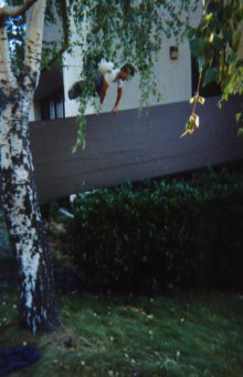 Some little bridge at a news building that had bushes in front of it